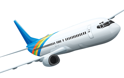 banner-fly